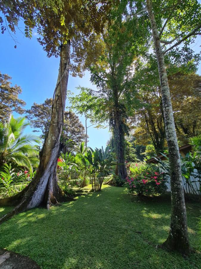 La Rana De Cahuita Villa Exteriör bild