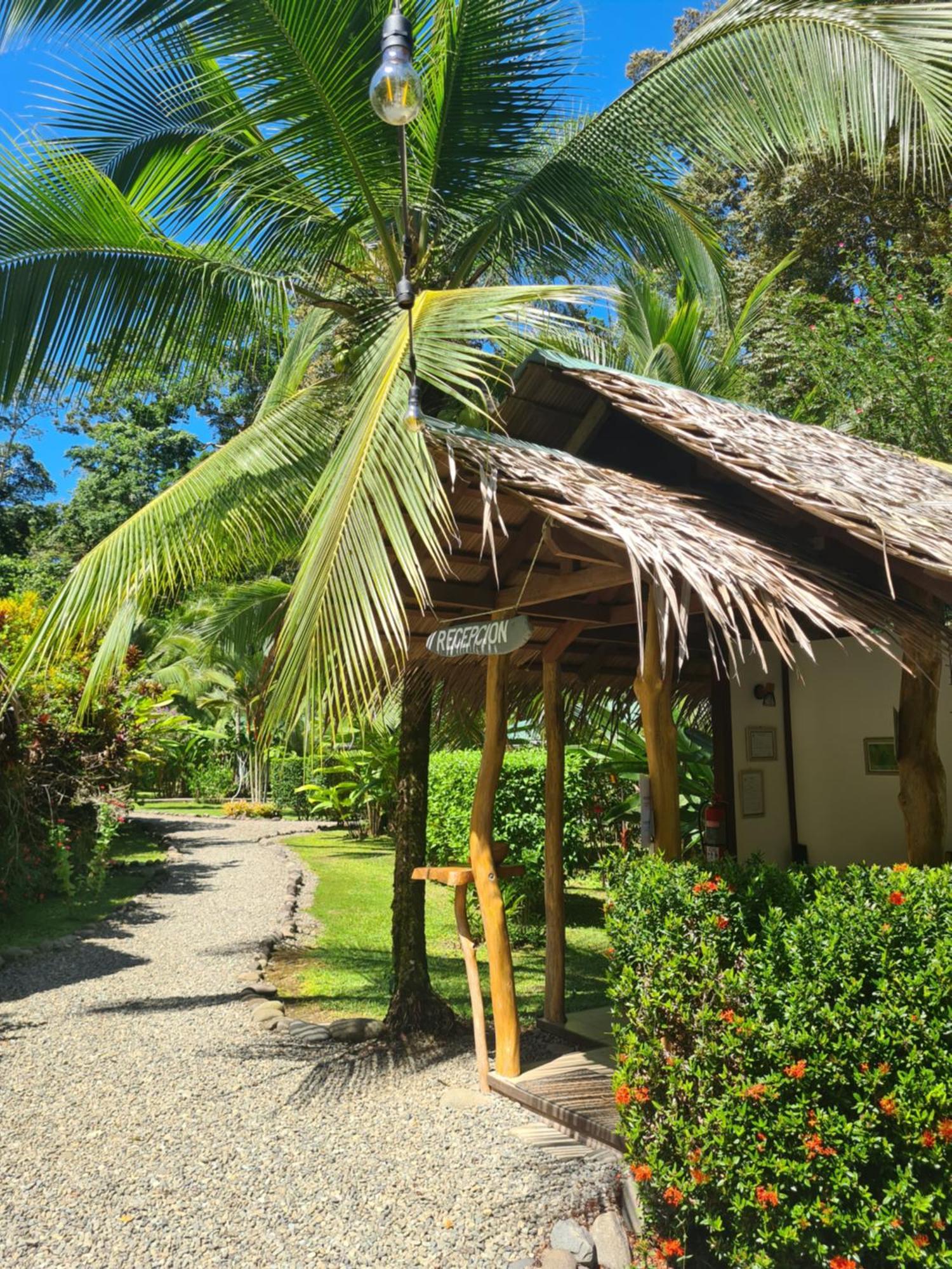La Rana De Cahuita Villa Exteriör bild
